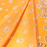 Paisley & Dots Silk Scarf