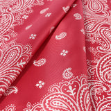 Paisley Silk Scarf