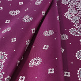 Paisley & Dots Silk Scarf