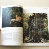SAUNTER MAG VOL 2 - AnonymousIsm