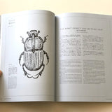 SAUNTER MAG VOL 2 - AnonymousIsm
